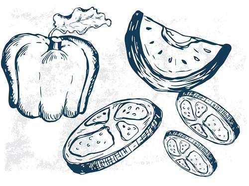 وکتور فست فود وکتور ساندویچ