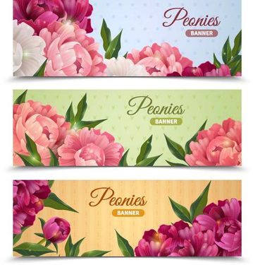 وکتور حاشیه گل وکتور پس زمینه گل و بوته