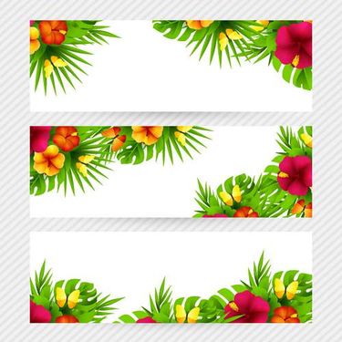 وکتور حاشیه گل وکتور پس زمینه گل و بوته