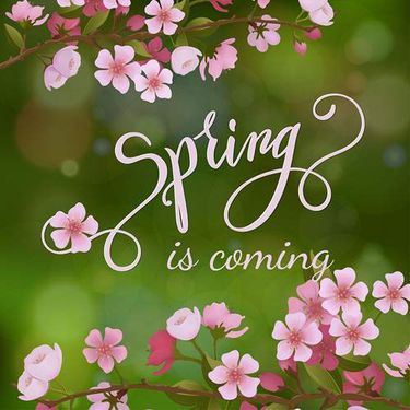 وکتور لیبل فروش وکتور برچسب فروش