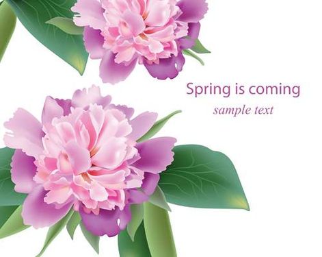 وکتور گل بهاری وکتور حاشیه گل وکتور گل و بوته