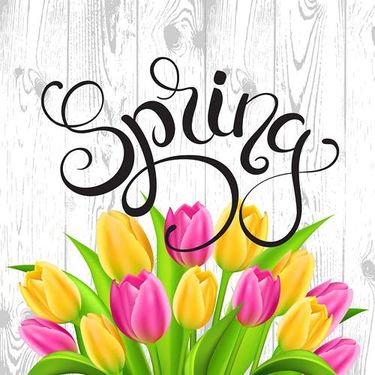 وکتور گل وکتور گلفروشی وکتور بهار