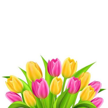 وکتور گل وکتور گلفروشی وکتور بهار