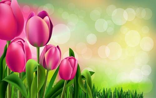 وکتور گل بهاری وکتور پروانه وکتور بک گراند