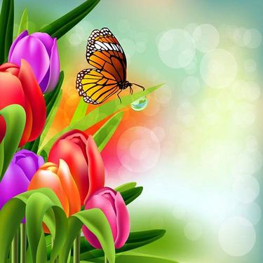 وکتور گل بهاری وکتور پروانه وکتور بک گراند