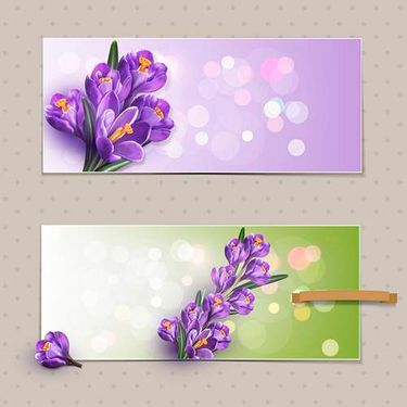 وکتور شاخه گل وکتور پس زمینه جلوه نور