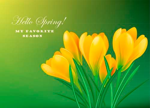 وکتور شاخه گل وکتور  گل زرد وکتور گلفروشی