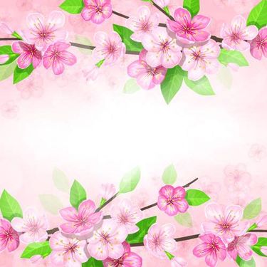 وکتور حاشیه گل وکتور حاشیه شکوفه بهاری