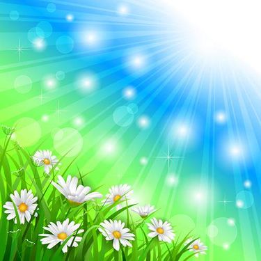 وکتور بک گراند جلوه نور وکتور حاشیه گل