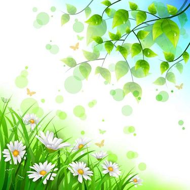 وکتور بک گراند جلوه نور وکتور حاشیه گل