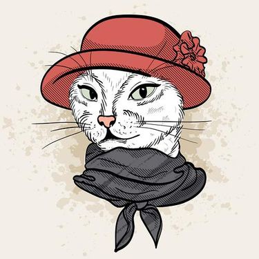 وکتور شال و کلاه زنانه وکتور گالری پوشاک زنانه