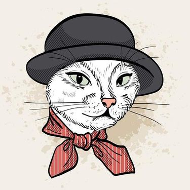 وکتور شال و کلاه زنانه وکتور گالری پوشاک زنانه