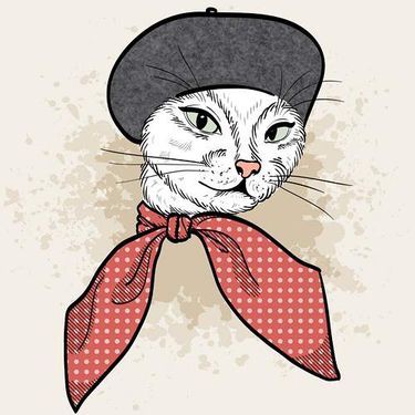 وکتور شال و کلاه زنانه وکتور گالری پوشاک زنانه