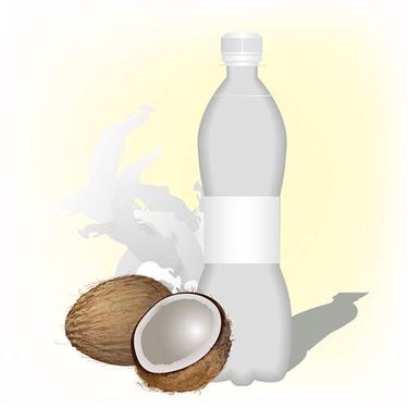 وکتور آب میوه طبیعی وکتور کافی شاپ