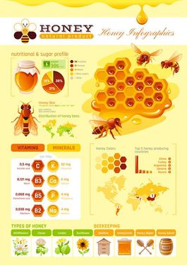 وکتور اینفوگرافی عسل وکتور موم عسل