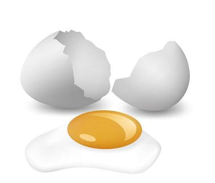 وکتور تخم مرغ شکسته وکتور زرده تخم مرغ