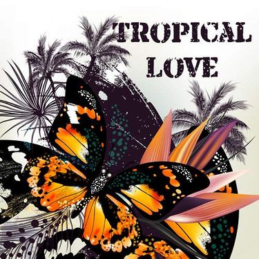 وکتور  پروانه وکتور پر پرنده وکتور درخت نخل