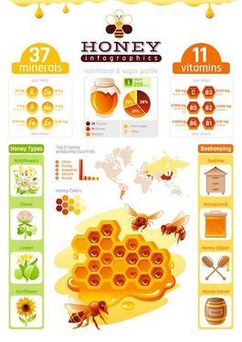 وکتور اینفوگرافی عسل وکتور موم عسل