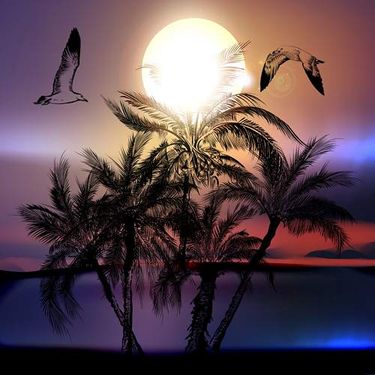 وکتور غروب خورشید وکتور دریاچه