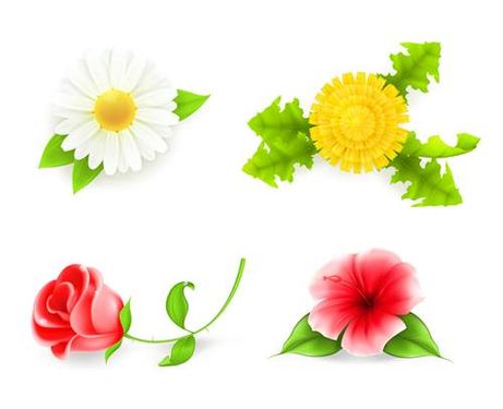 وکتور گل طبیعی وکتور گل بهاری