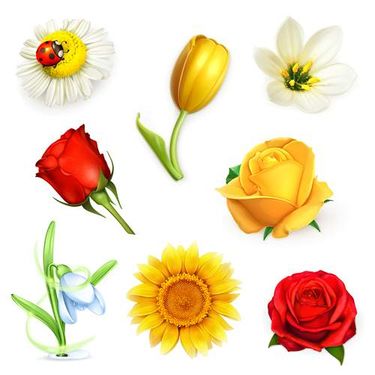 وکتور گل طبیعی وکتور گل بهاری