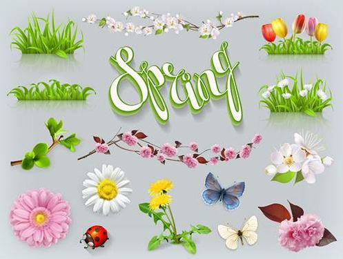 وکتور گل طبیعی وکتور گل بهاری وکتور گلفروشی