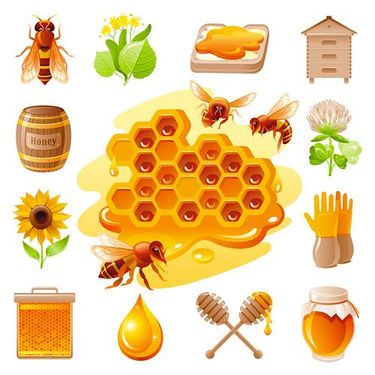 وکتور شیشه عسل   وکتور موم عسل