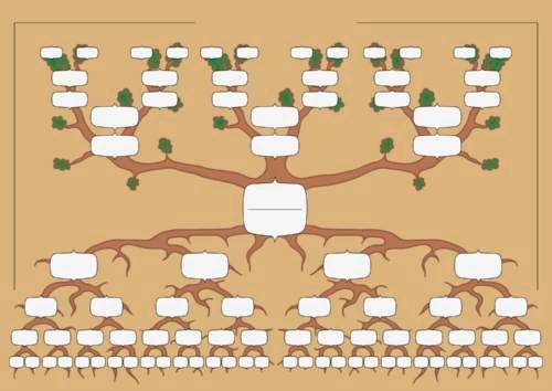 وکتور ساختار درختی  وکتور درخت خانواده