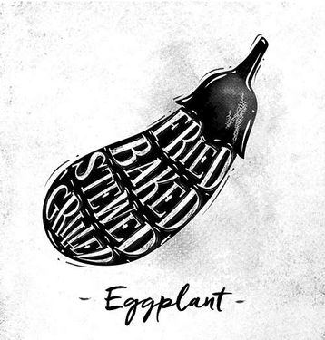 وکتور بادمجان  وکتور میوه فروشی