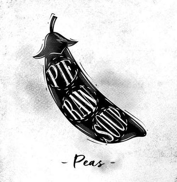 وکتور نوخود فرنگی  وکتور میوه فروشی