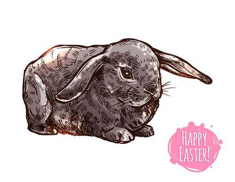 وکتور خرگوش وکتور طرح عید نوروز