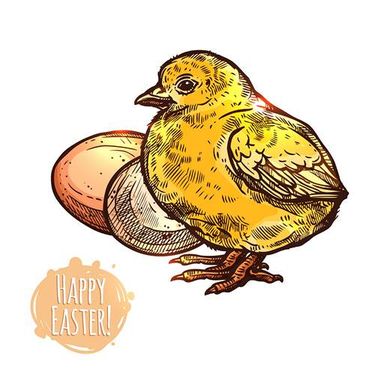 وکتور جوجه وکتور تخم مرغ رنگی وکتور لیبل