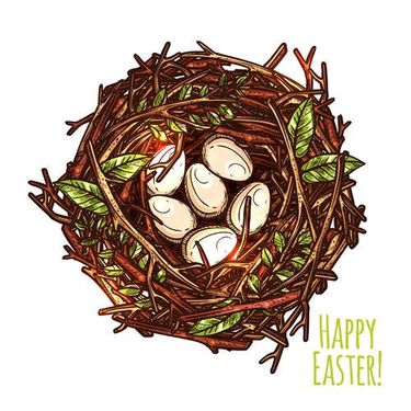 وکتور لانه گنجشک وکتور آشیانه پرنده