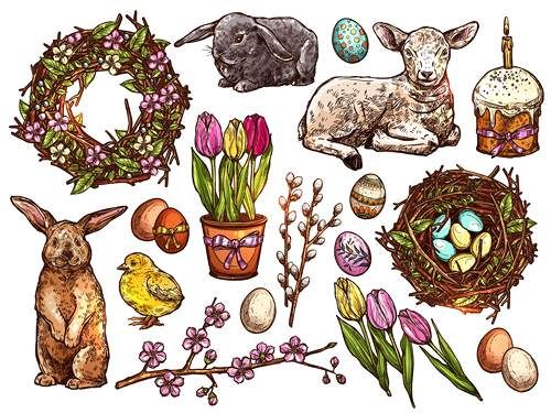 وکتور لانه گنجشک وکتور آشیانه پرنده