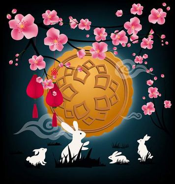 وکتور شاخه گل وکتور بهار وکتور گلبرگ گل