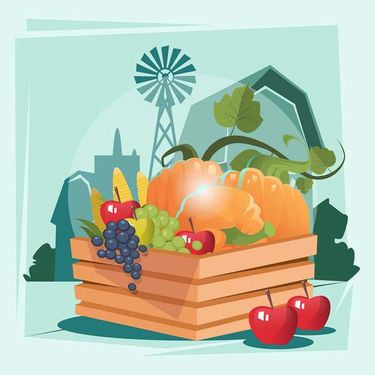 وکتور جعبه میوه وکتور انگور وکتور سیب قرمز