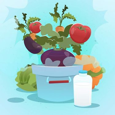 وکتور گلدان وکتور میوه وکتور گلخانه