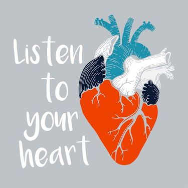 وکتور پزشکی وکتور قلب وکتور امعاء و احشاء  بدن