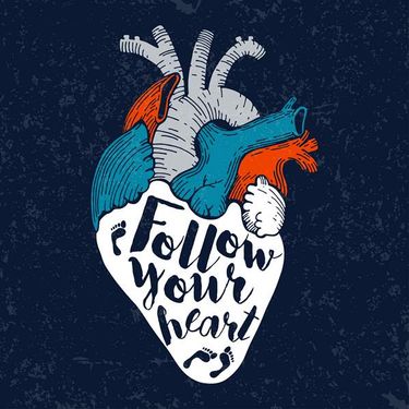 وکتور پزشکی وکتور قلب وکتور امعاء و احشاء  بدن