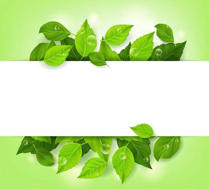 وکتور حاشیه برگ وکتور کادر برگ