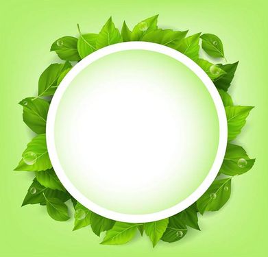 وکتور حاشیه برگ وکتور کادر برگ