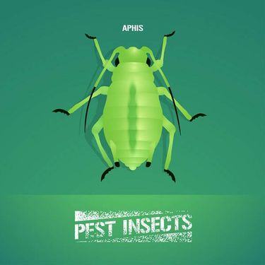 وکتور سموم کشاورزی وکتور سم پاشی