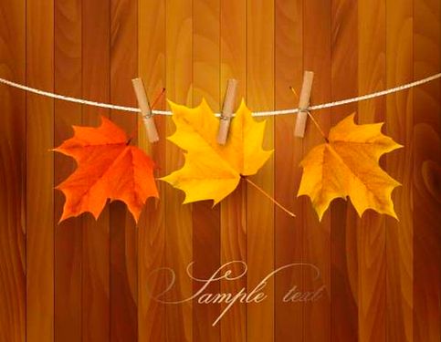 وکتور برگ زرد پاییزی وکتور بک گراند چوبی