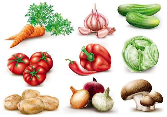 وکتور گوجه فرنگی وکتور فلفل دلمه ای