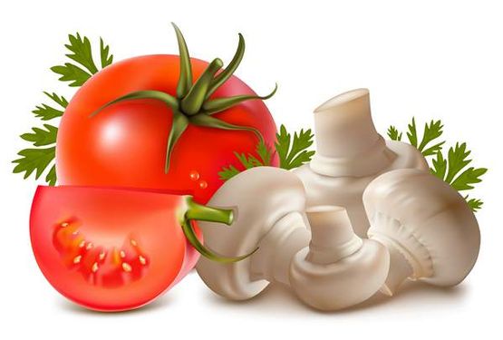 وکتور گوجه فرنگی وکتور سوپر میوه