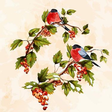 وکتور گل و بوته وکتور گل مرغ