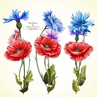 وکتور گل و بوته وکتور گلفروشی