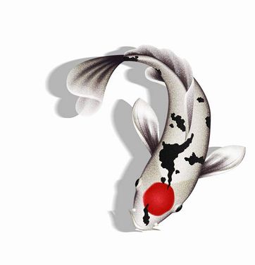 وکتور  ماهی وکتور ماهیگیری وکتور آکواریوم