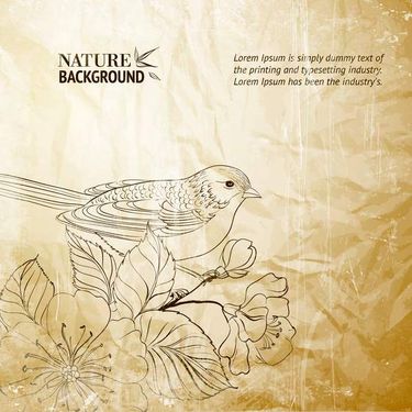 وکتور بک گراند طلایی وکتور گل و مرغ