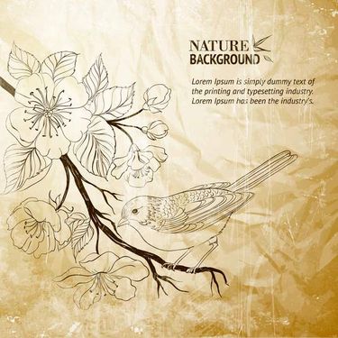 وکتور بک گراند طلایی وکتور گل و مرغ